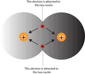 Covalent bond