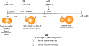 Electronegativity difference and type of bond