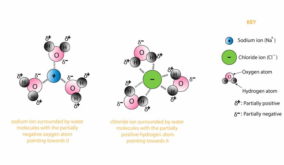 Кон nacl. Chloride and Water. NACL in Water.