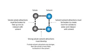 Solute solvent interactions