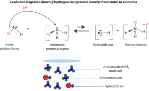 Weak base dissociating in water