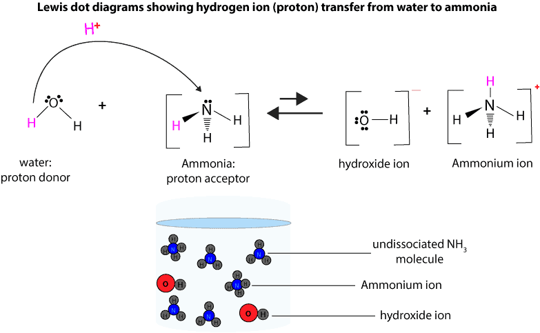 Why s Sodium Hydroxide A Strong Base While Ammonia A Weak Base 