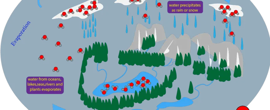 What molecular processes are involved when water cycles through the earth?