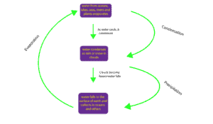 Flow chart showing evaporation, condensation and precipitation