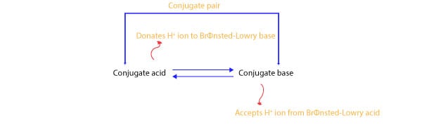 Conjugate acid is related to its conjugate base by loss and gain of a proton