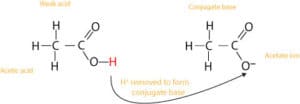 Acetic acid and its conjugate base