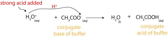 Buffer solution: what is it and how does it work to resist changes in its pH?