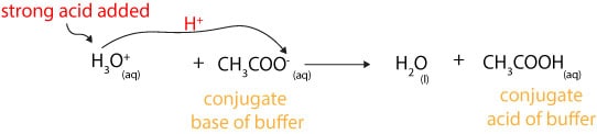 Acetate ion accepts a proton from an acid