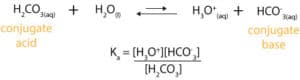 Dissociation constant of carbonic acid