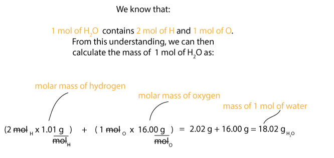How to calculate the mass of 1 mole of water