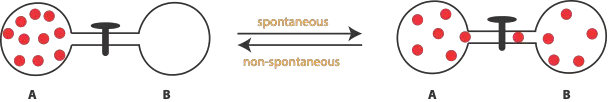 Why do chemical reactions occur, and how do you determine whether a reaction is spontaneous?